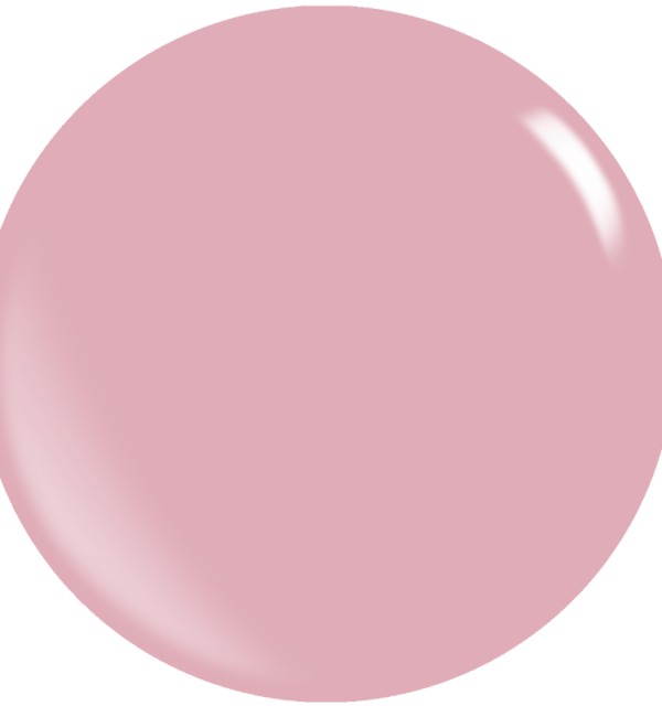 Color Cotton Candy